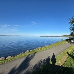 Butterfly 🦋 necklace.